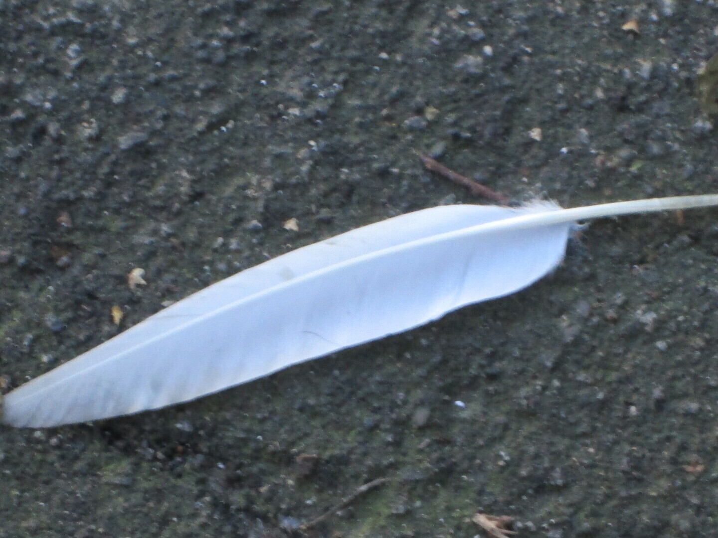 А можно всех посмотреть?