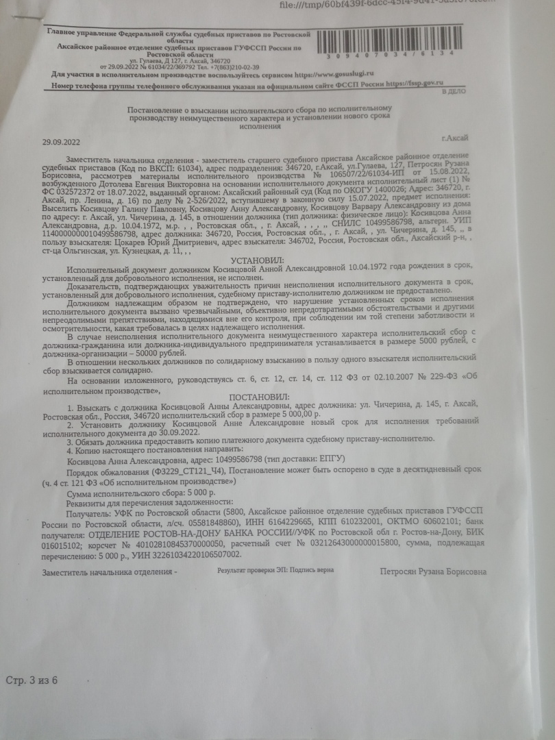 Иполнительное производство в новой редакции от судебных приставов Аксайского  района Ростовской области | Анна, 02 октября 2022