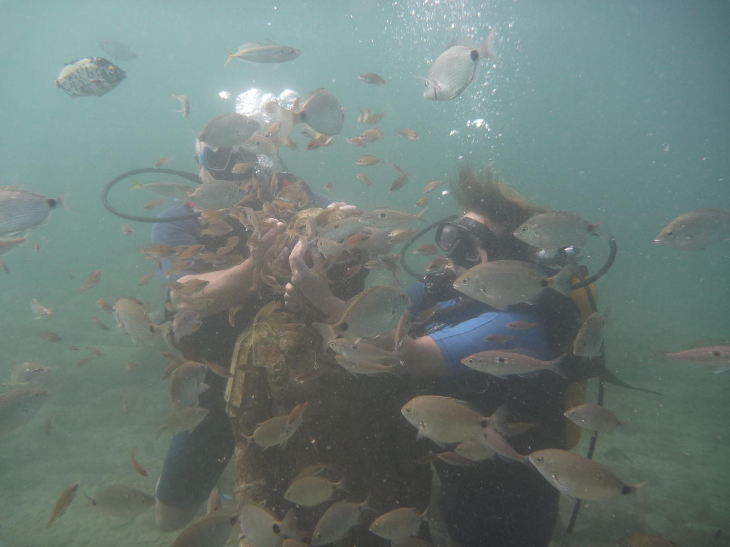 Дайвинг в кабардинке.