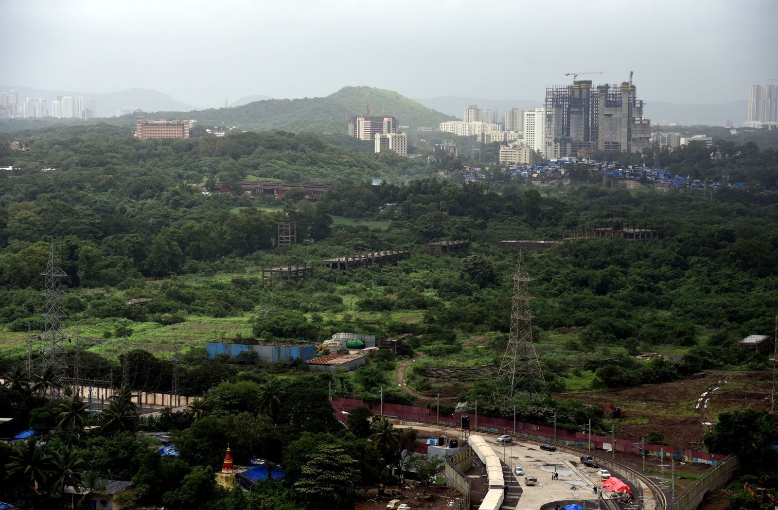 В Индии тысячи людей протестуют против вырубки зеленой зоны Мумбаи