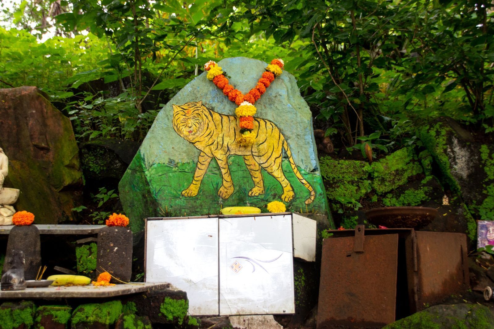 В Индии тысячи людей протестуют против вырубки зеленой зоны Мумбаи