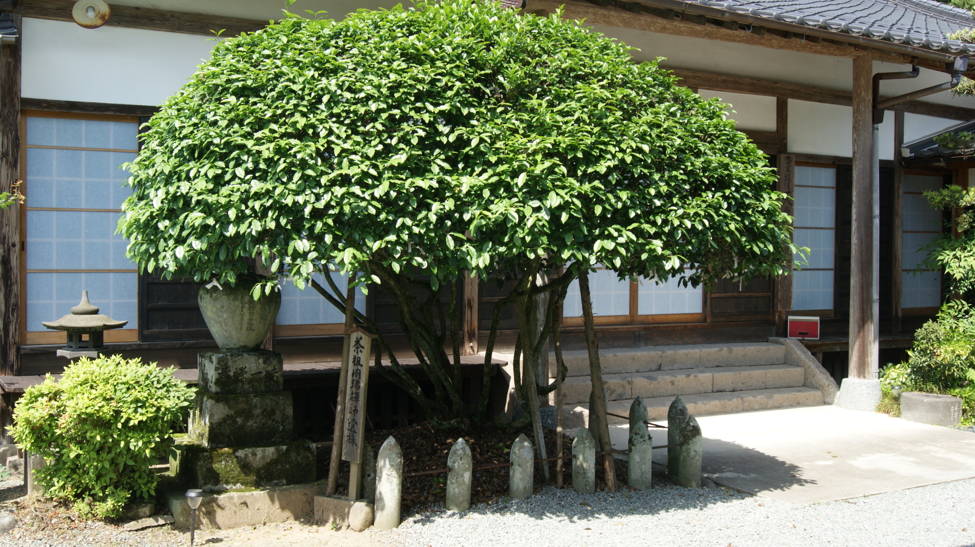 Япония глазами не туриста № 3