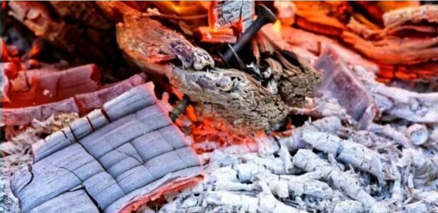 Зола ценное, бесплатное удобрение, как эффективнее его использовать