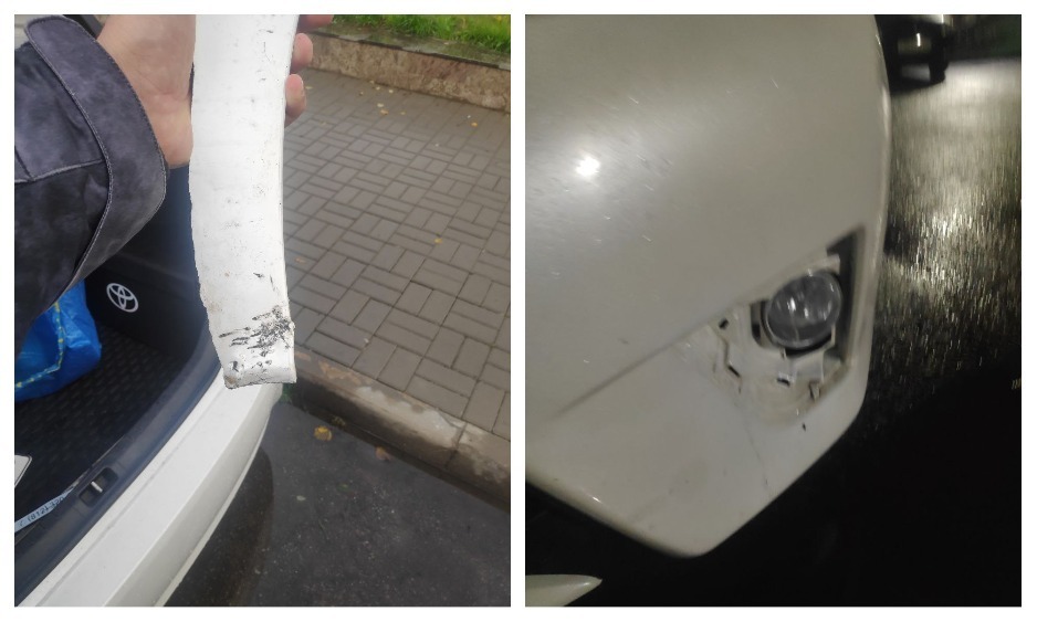 Собаки подрали машину — страховой ли это случай, виновата ли местная администрация?