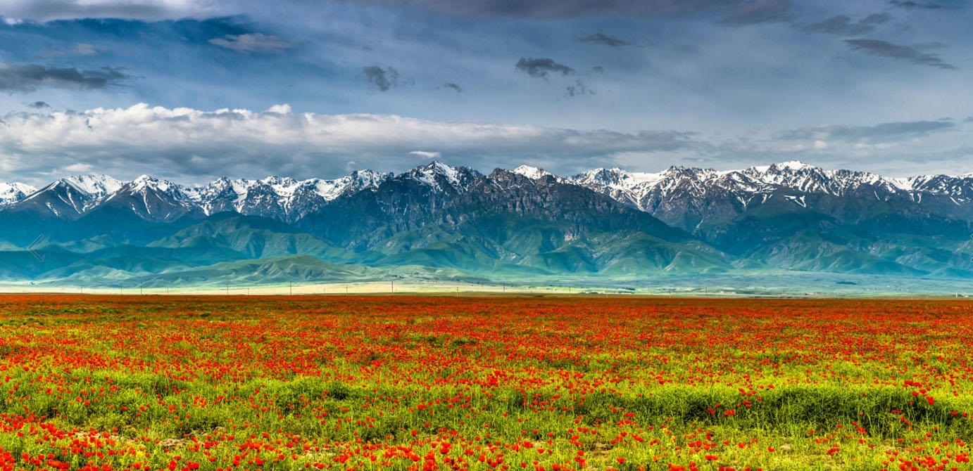Жилье в Казахстане для релокации. Возможное решение непростого вопроса.