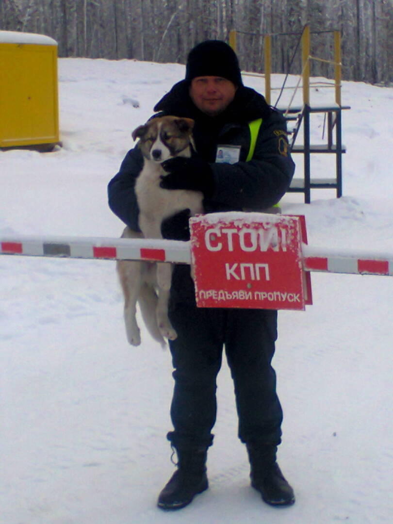 Охранник или лицензированный сторож, или куда пойти работать простому смертному?