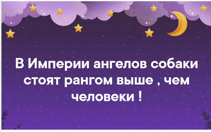 Согласны ли Вы с тем, что в Империи ангелов собаки стоят рангом выше , чем человеки !?