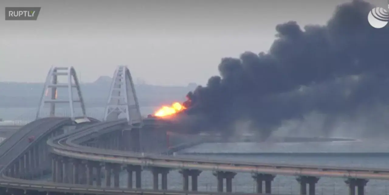 Начнем воевать, или продолжим мяукать?