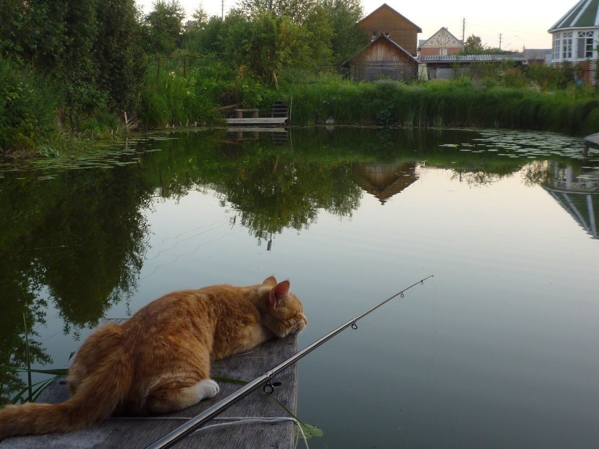 Рыбалка в деревне фото