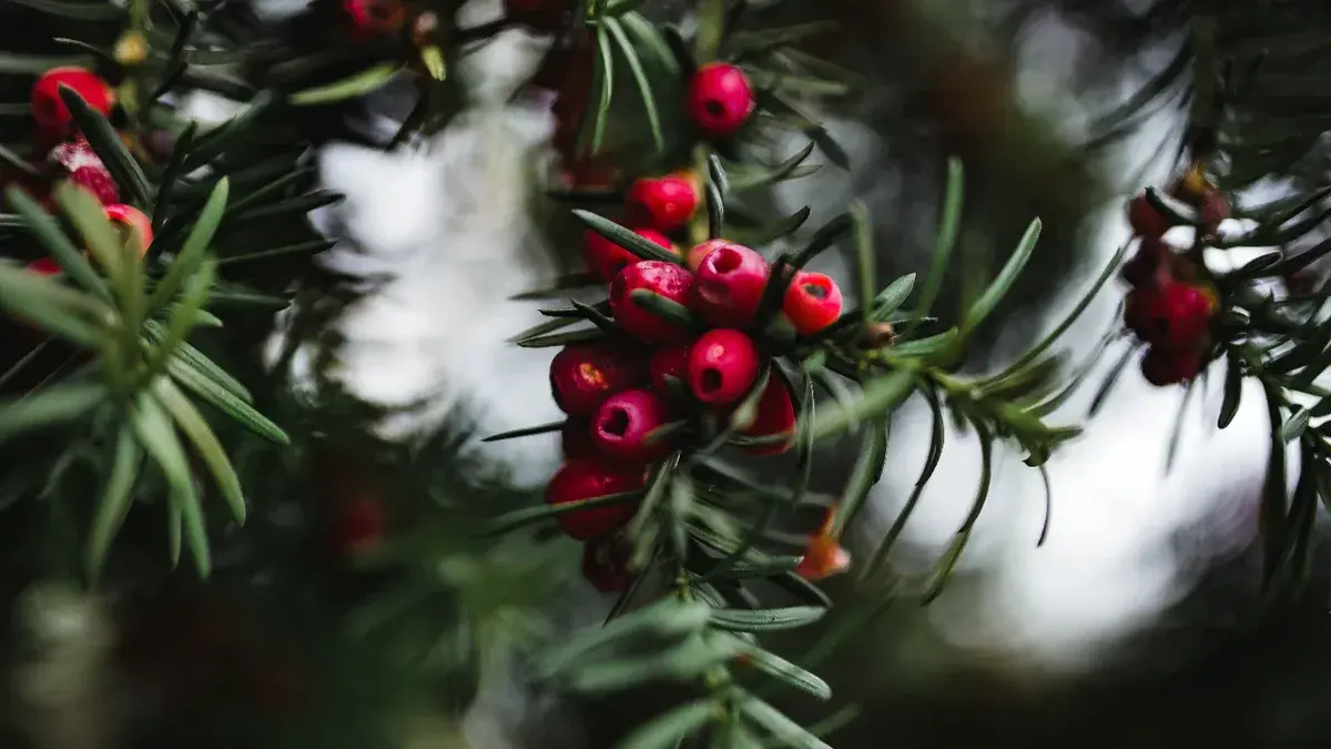 Грехи недели: что можно и что нельзя делать на неделе 10 по 17 октября 2022 года – что будет грехом, а что благостью, согласно церковным и народным пр