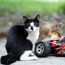 Персиков, г. Старый Оскол