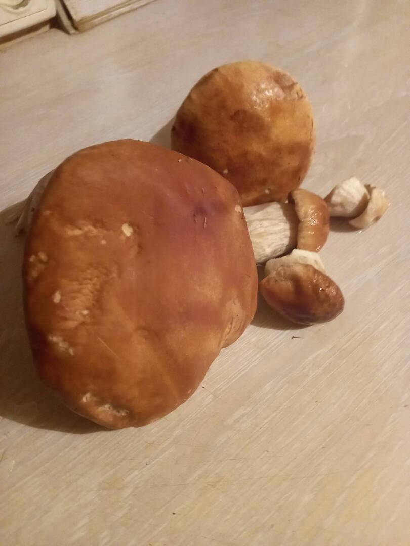 Как Вам «тихая охота» в 2022 году?