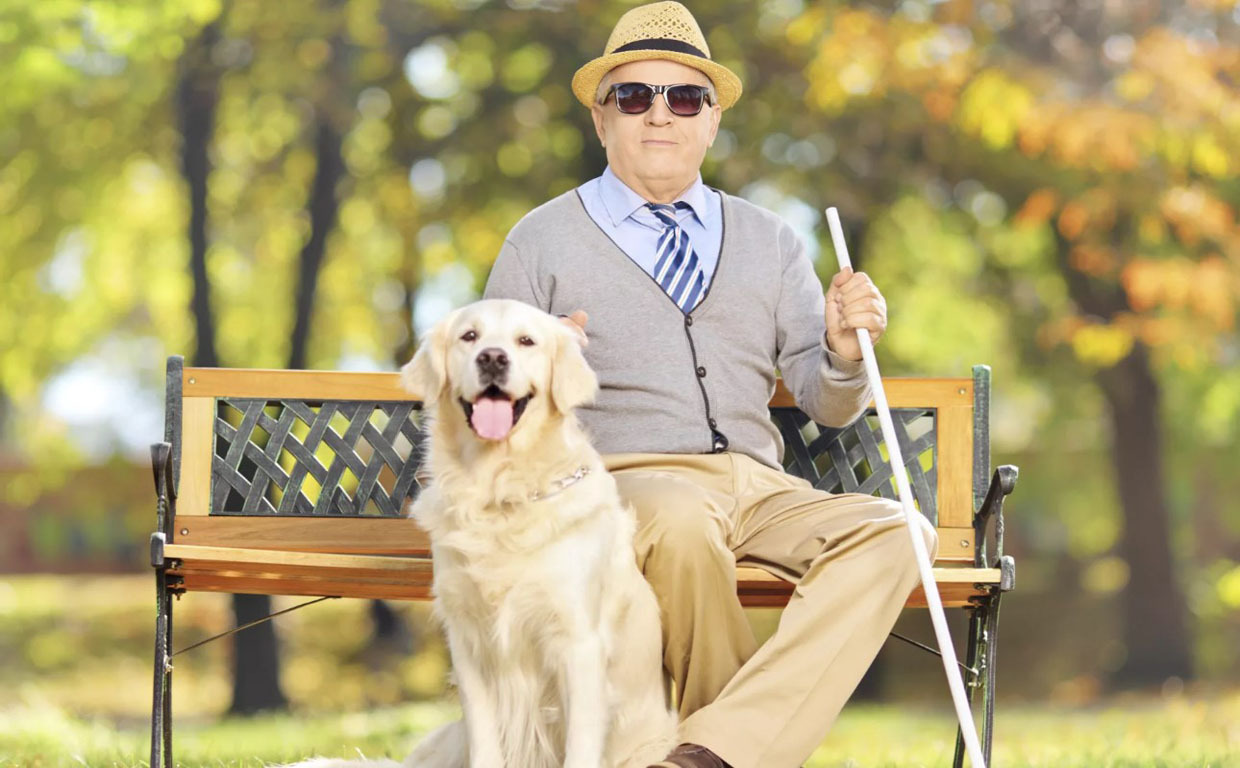 Сколько дней отпуска должны оплатить инвалиду?