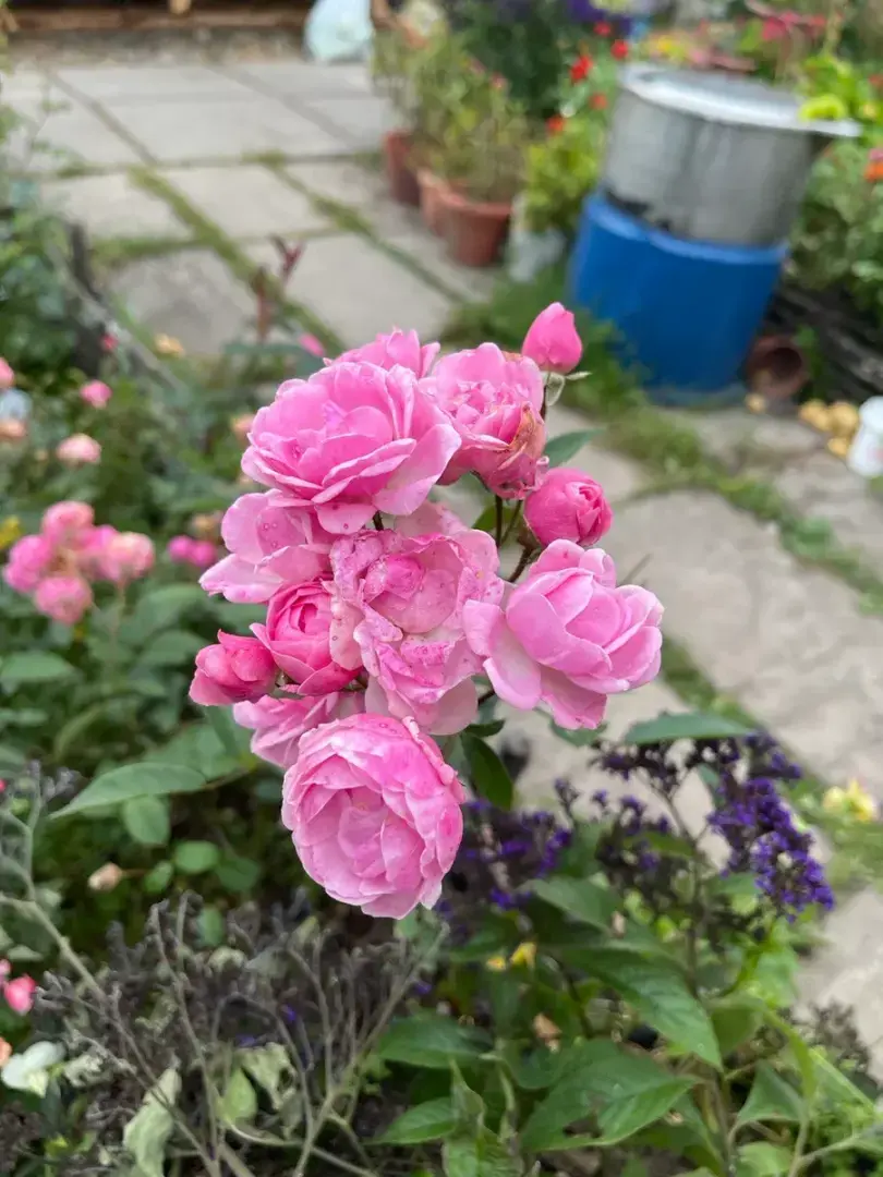 "Когда она выйдет из декрета, начальник поменяет нас местами, и я перестану быт и.о.": поставила на место наглого молодого сотрудника