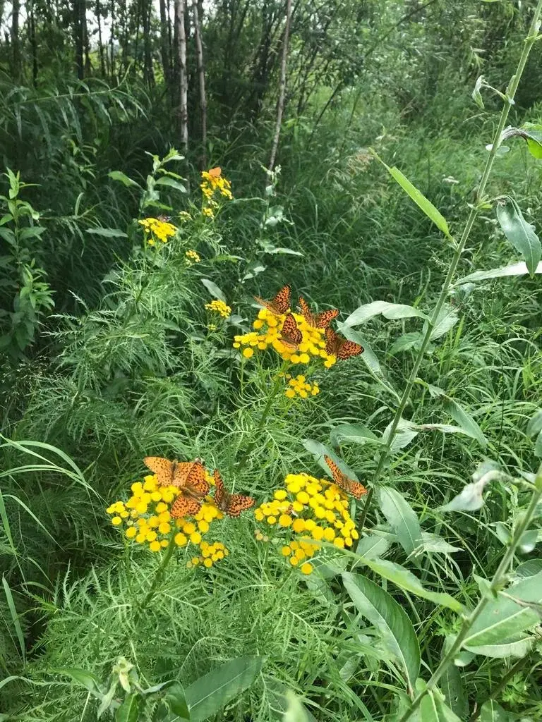 "Там нищета. Пришла на осмотр, а грудничка кормят манкой на воде". Врач пожаловалась родственнице, но ничего не предприняла
