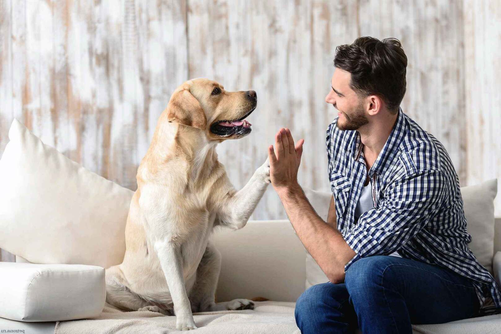 Поэтому, чтобы имитировать технику поведения животного.