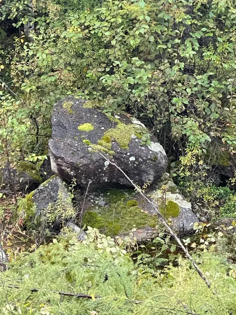 Оставила ребенка пьющей бабушке: что сделала коллега, чтобы забрать ребенка у нерадивой дочери