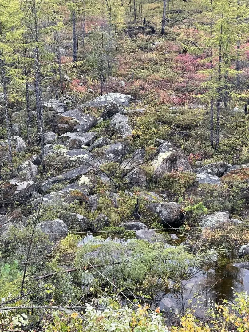 "На работу пришли 2 повестки. Могут оставить в почтовом ящике": что делать, если обнаружили такое послание