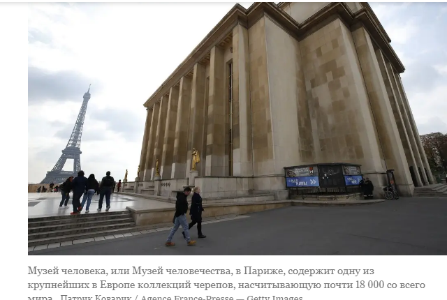 Франция вернула 24 черепа Алжиру. Они были не такими, какими казались.