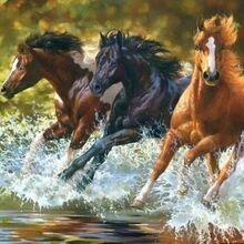 Инна, г. Сызрань