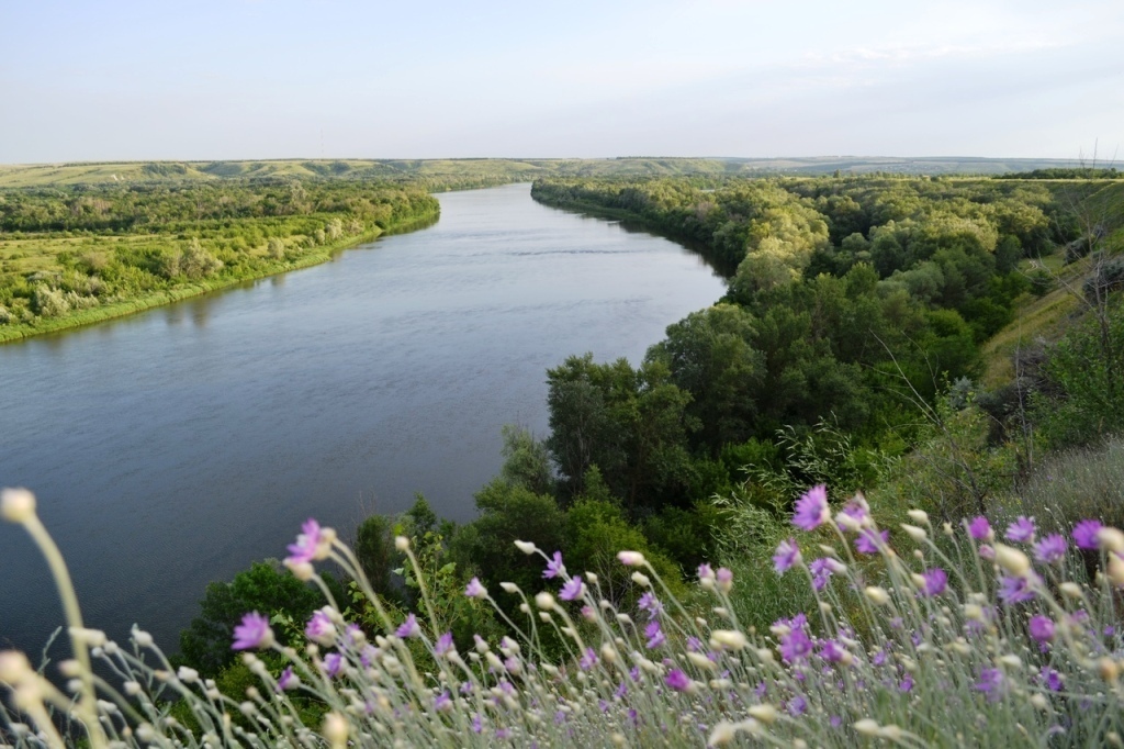 Дон в вешенской фото