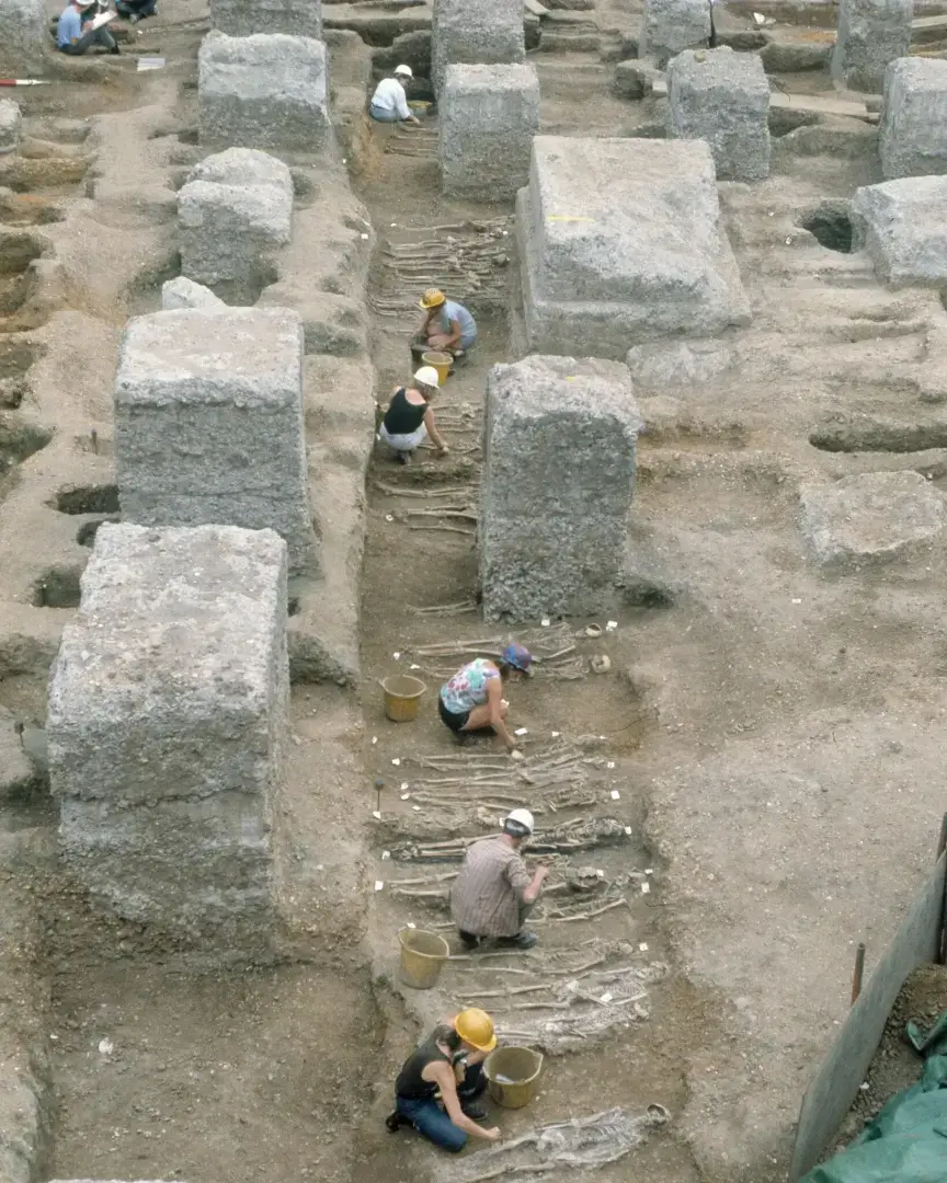 Как «черная смерть» оставила свой генетический след в будущих поколениях