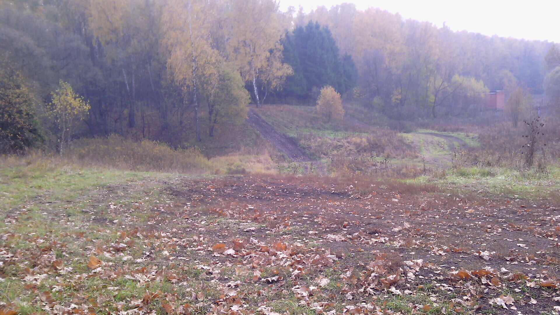 Осенняя прогулка у реки Пахра в Подмосковье
