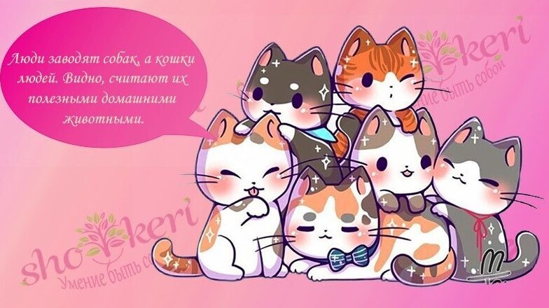 Как выйти из порочного круга негатива