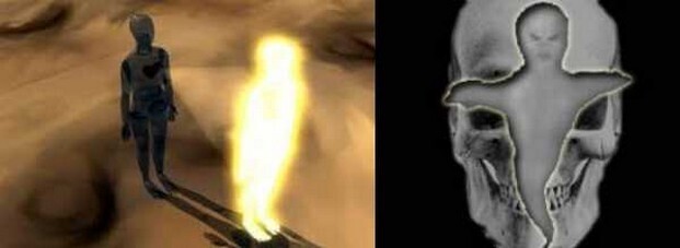 Дивали 2022: узнайте, как отмечают этот праздник в разных частях Индии