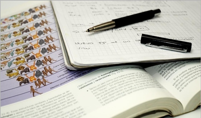 В Госдуму внесли законопроект по которому, при поступлении в ВУЗы, отслужившие срочную службу будут иметь приоритет перед не служившими