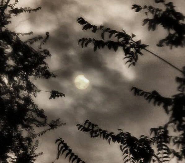 Где можно увидеть солнечное затмение?☀️