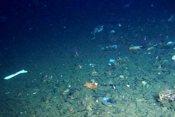 Гигантская Помойка Человечества: Марианская впадина