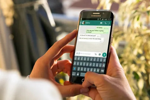 Блокировка WhatsApp в Рос­сии с 1 нояб­ря 2022: прав­да что Мин­про­све­ще­ния заблокирует Ват­сап? На какие мес­сен­дже­ры переходить с 01.11.2022?