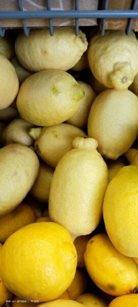 Лимоны. Стремительно меняющаяся цена в Пятёрочке