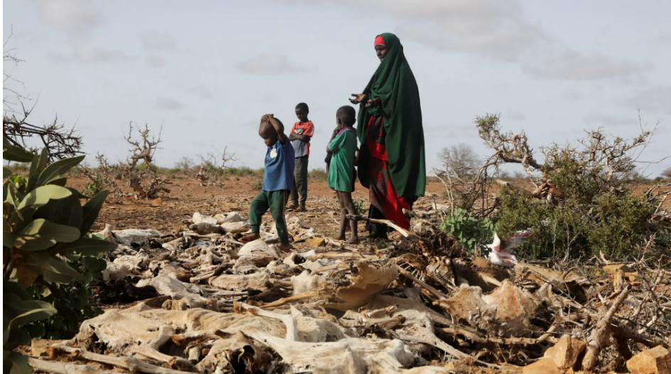 Климатические обязательства не выполняются, и хаотичное будущее больше похоже на реальность