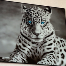 Юлия, г. Заозерск