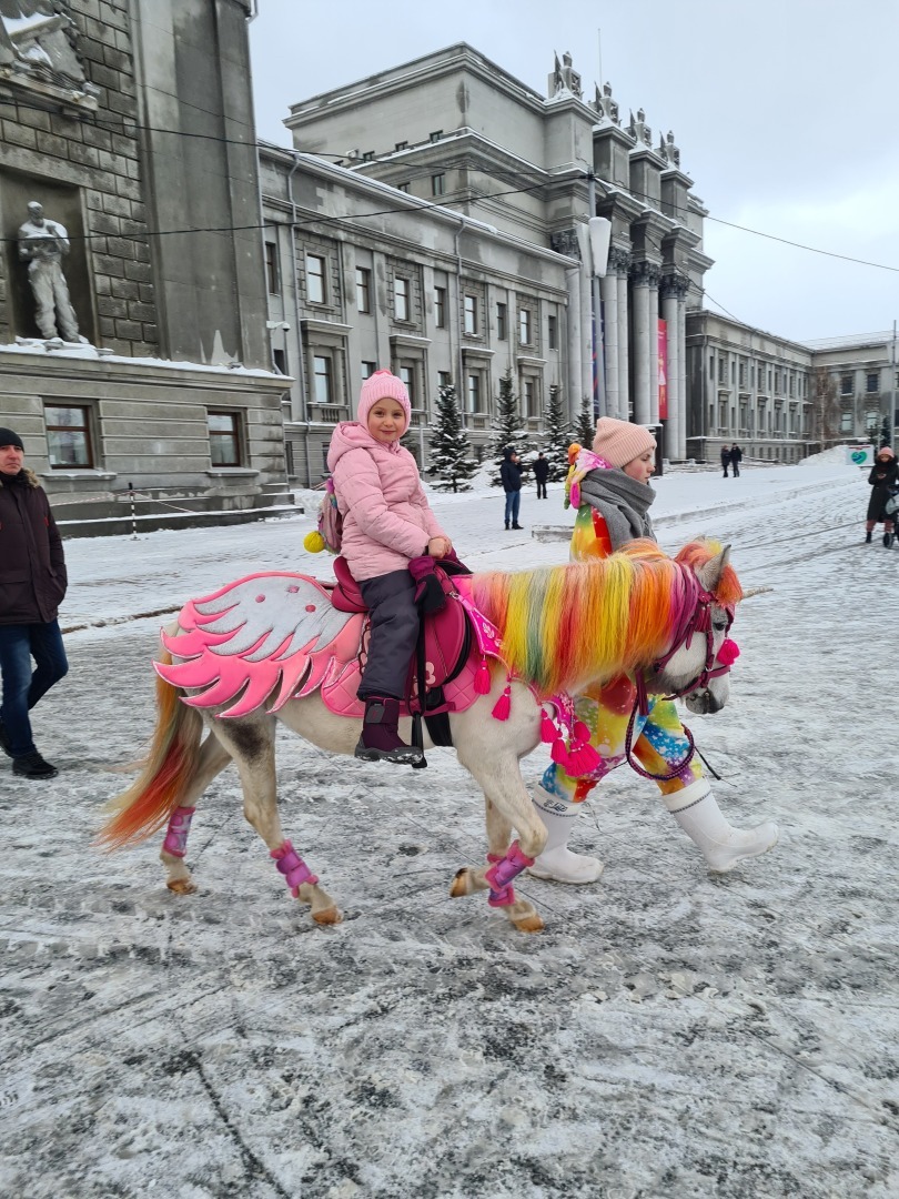 Новогодние каникулы в Самаре.