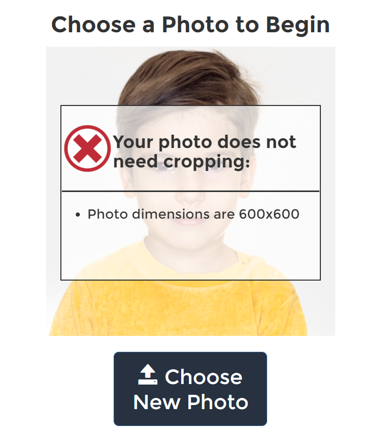 Показываю, как ПРАВИЛЬНО заполнить анкету участника в лотерее США и выиграть грин-карту с видом на жительство в Америке