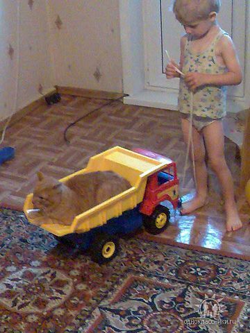 Как получить налоговый вычет, или почему я должен отвечать за ошибки сотрудников налоговой службы?