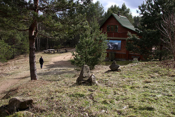 Медведь – символ России. Прикоснись к природе всем сердцем.