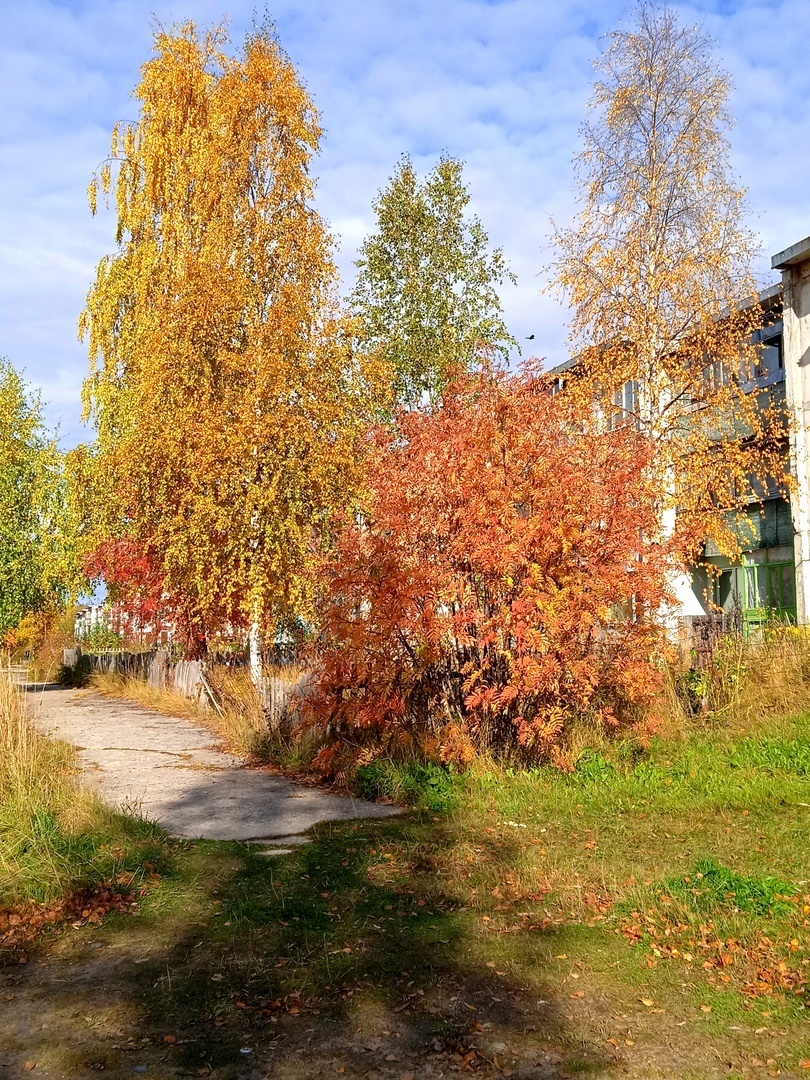 Осень в лиловых тонах. Щедрые дары и шикарные наряды