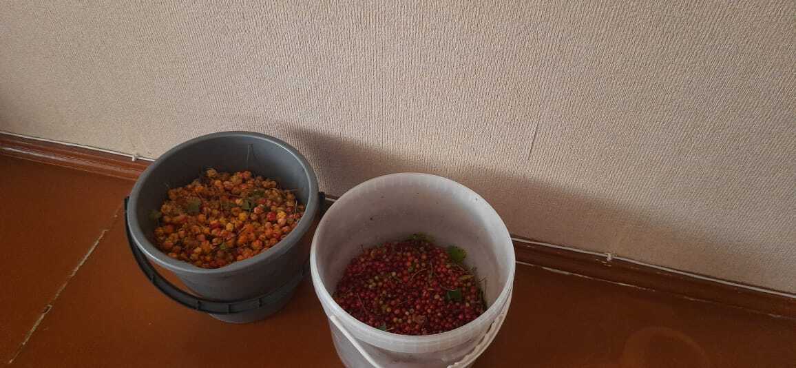 Осень в лиловых тонах. Щедрые дары и шикарные наряды