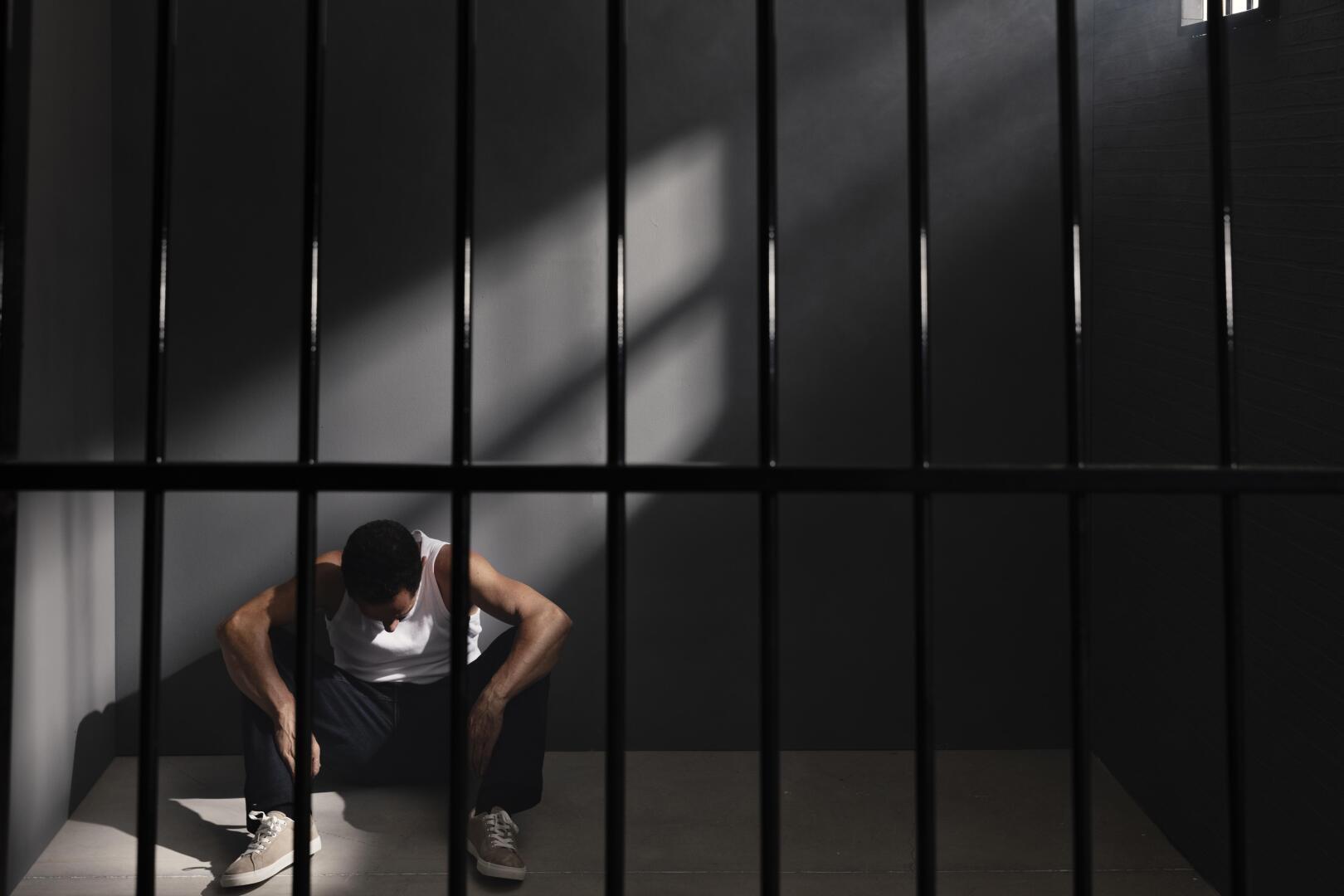 5 лет тюрьмы за уклонение от мобилизации: новая инициатива "Единой России"