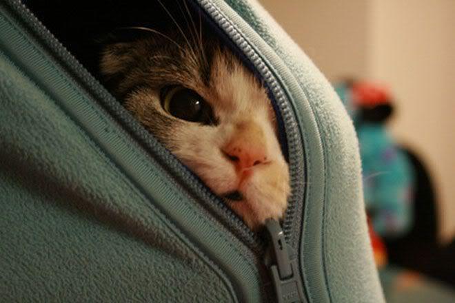 Осенняя находка.