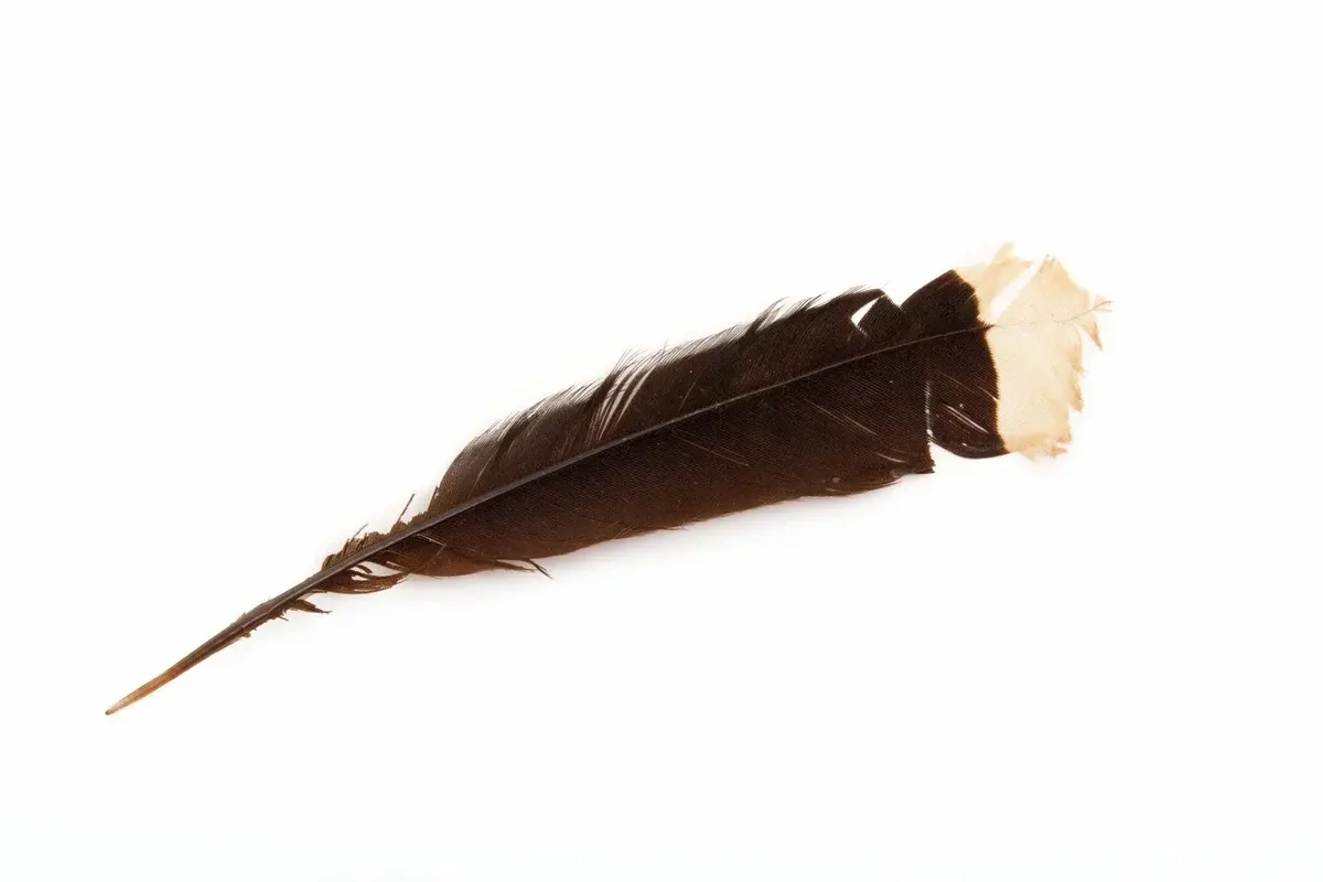 Необоснованно дорогие вещи – кто готов тратить бешеные деньги на неоднозначные покупки?