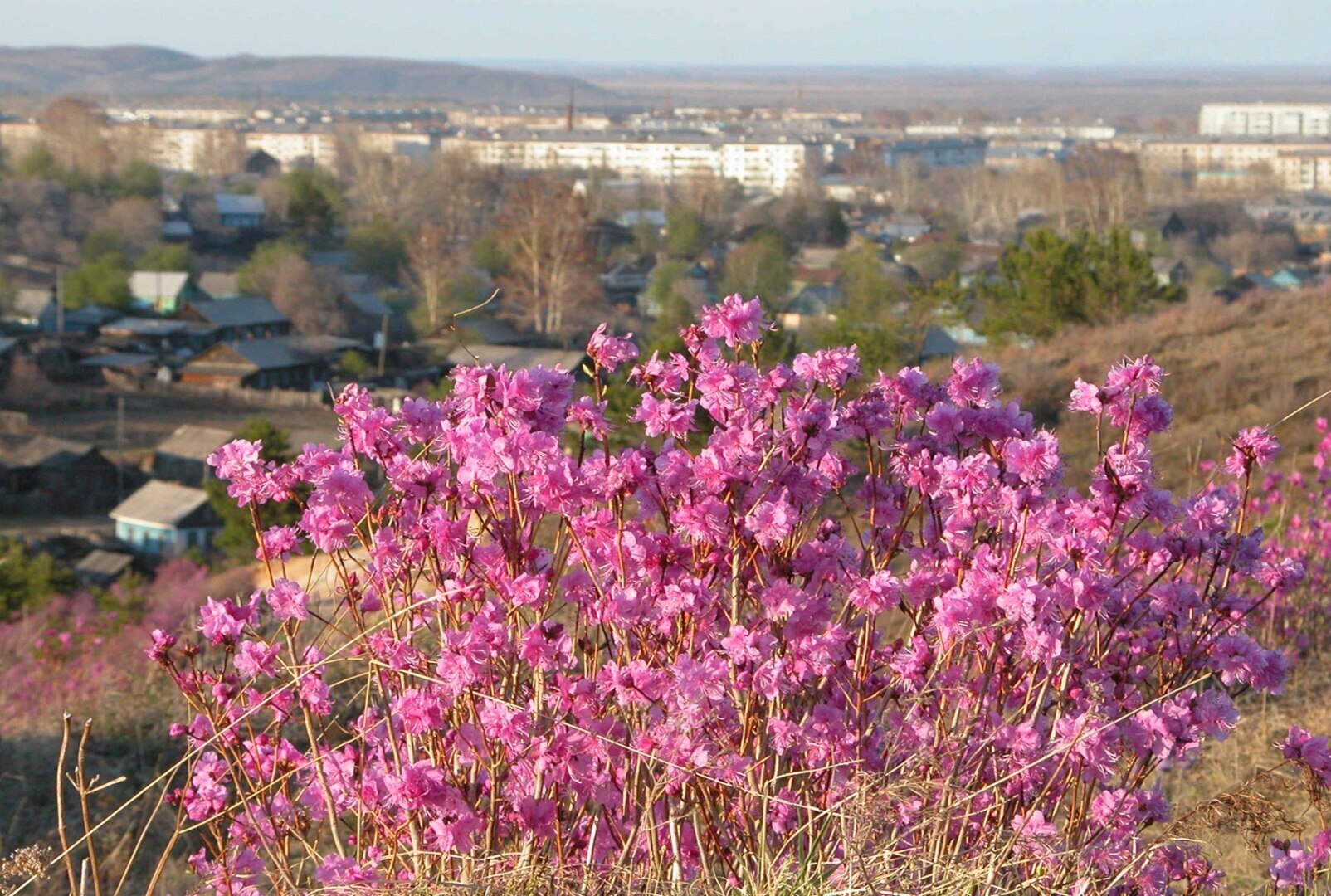 Дальневосточные красоты забыть невозможно.