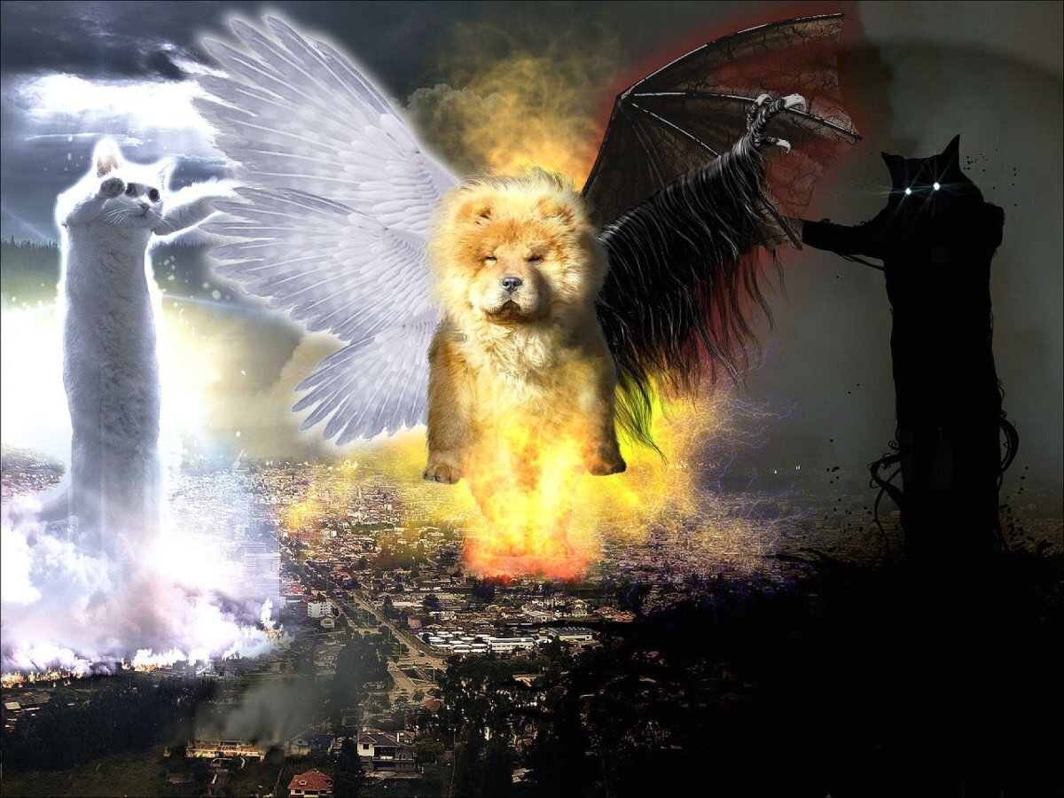 Суд- это Рай или Ад!!! (часть 1)