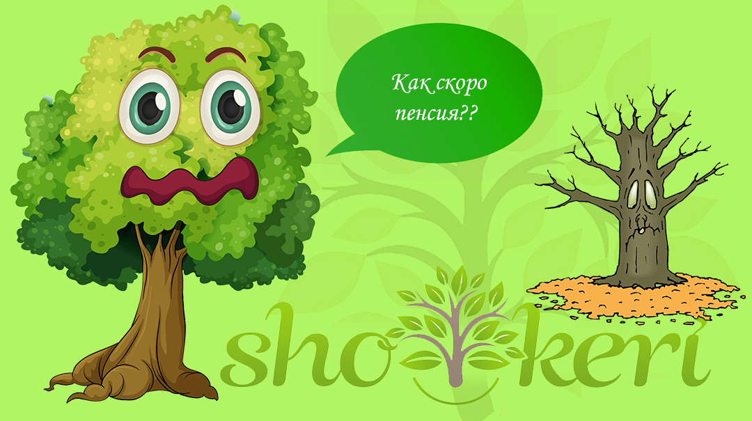 Когда нужно начинать копить, чтобы позаботиться о старости