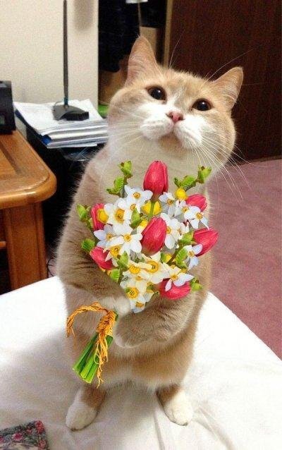 Всегда ли вы знаете что подарить?