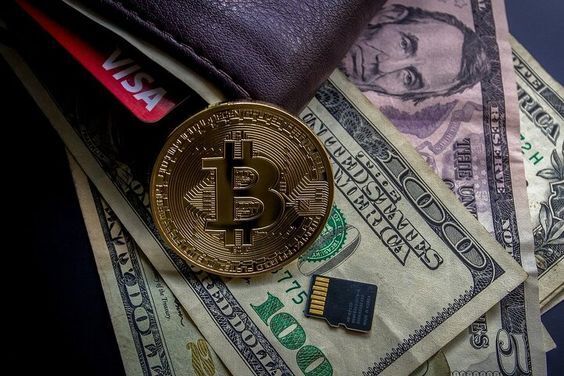 Решил зарабатывать на криптовалюте и напоролся на обман — куда жаловаться?